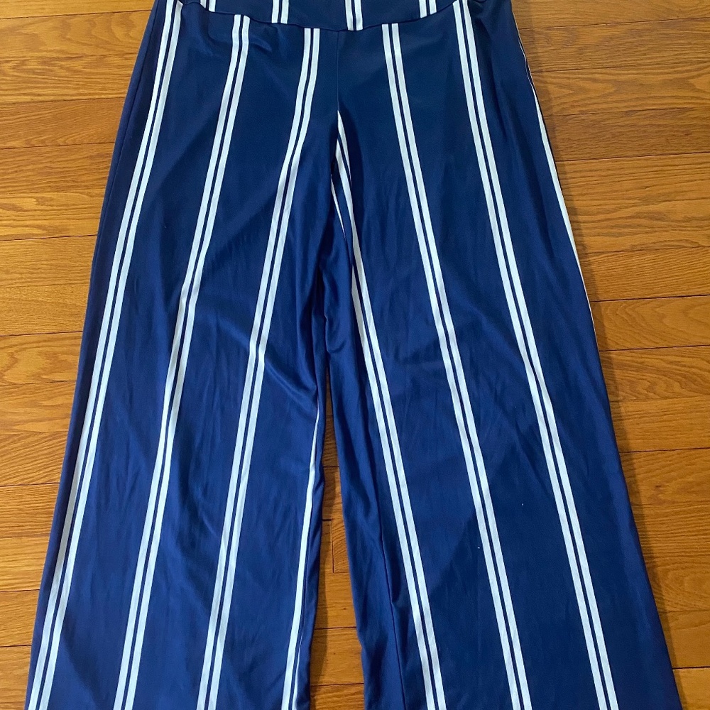Blue and white striped wide leg pants. Size medium.